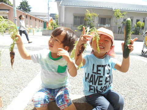 DSCN4446