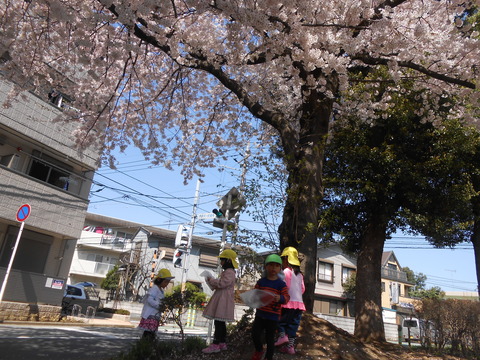 DSCN7774