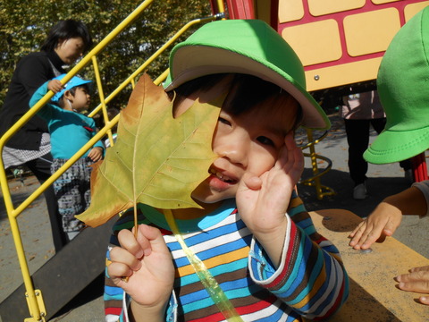 DSCN8310