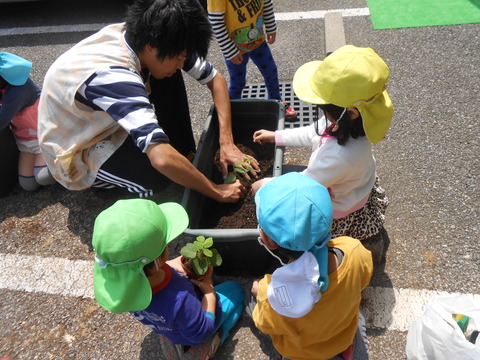 DSCN7932