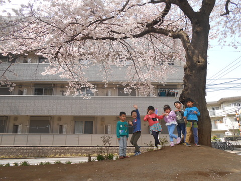 DSCN0241