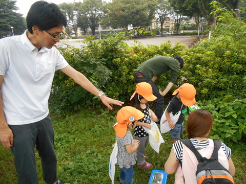 DSCN5920