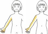 腕 修正版