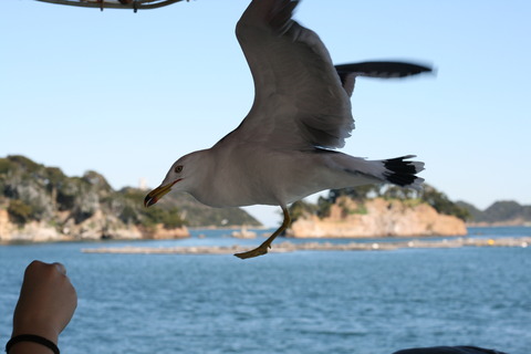 鳥羽湾巡りとイルカ島