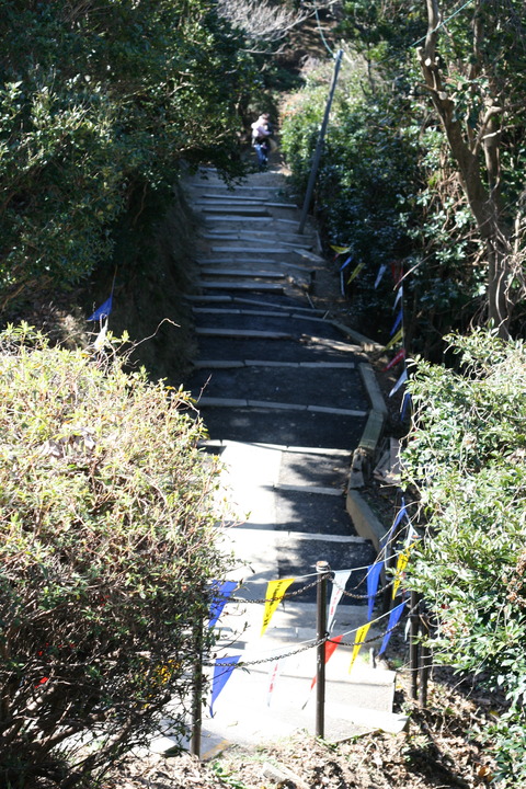 鳥羽湾巡りとイルカ島