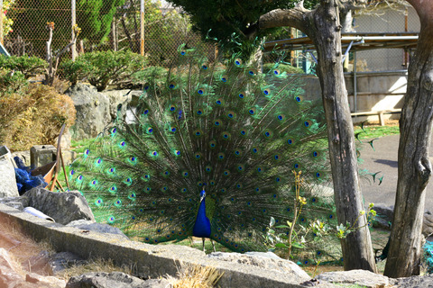 鳥羽・市民の森公園