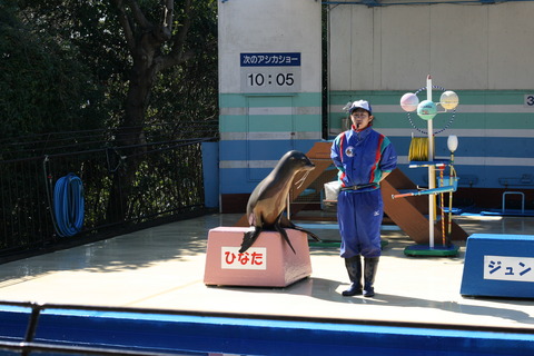 鳥羽湾巡りとイルカ島