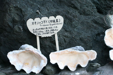 夫婦岩