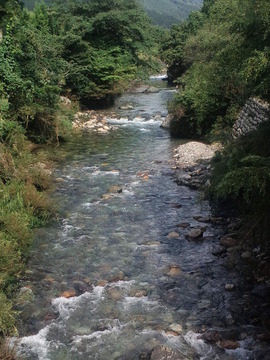 CA3I0012