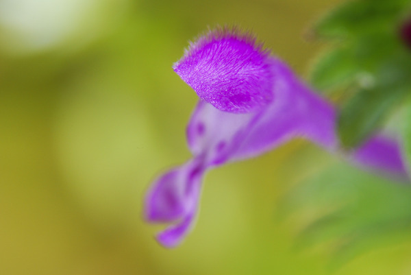 DSC_1780