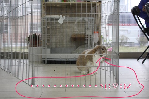 Skitch-2012-05-18 09_16_51 +0000
