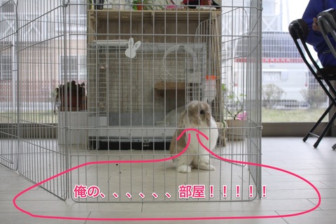 Skitch-2012-05-18 09_14_15 +0000