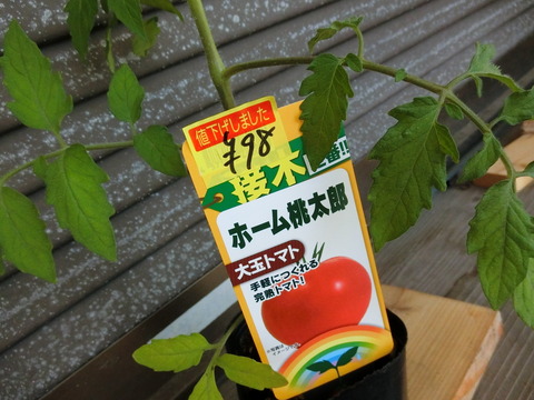 CIMG2776