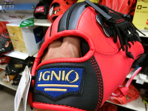 CIMG1103