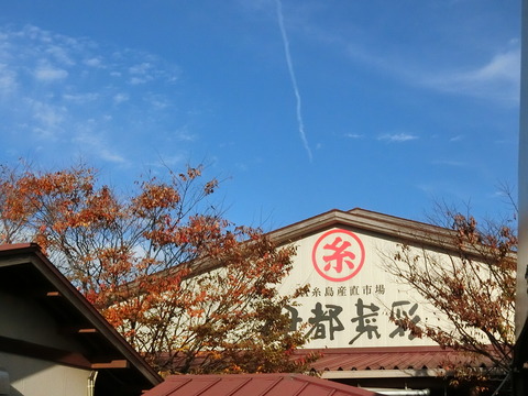 CIMG9822