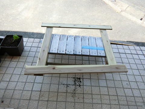 CIMG2784