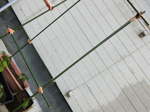 CIMG2788