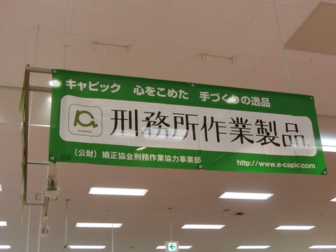 CIMG4244