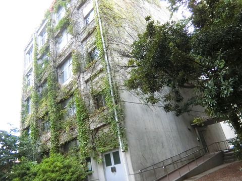 CIMG2418