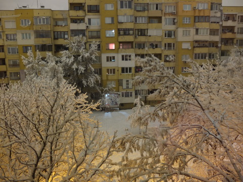 DSCF1498