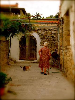 DSCF1391