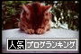 br_decobanner_20111017014813