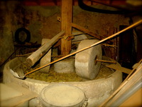 DSCF1398