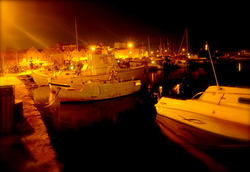DSCF1637