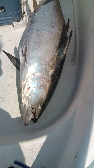 20100817095614