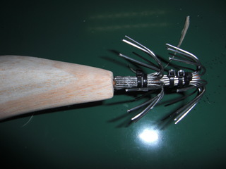 CIMG1124