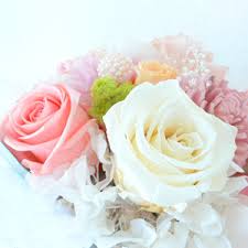 images (35)