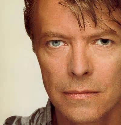 david