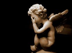 48299_249_2009-12-25-141602-m