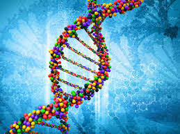 indexdna