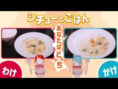 シチュー