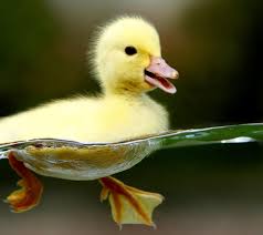 images (90)