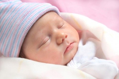 shutterstock_27230197-480x320