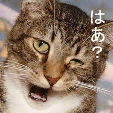 ダウンロード (1)