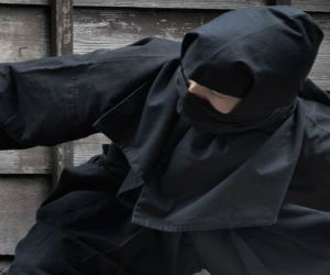 new__98473204_ninja_crop_getty