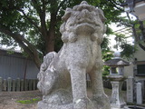 9f817a1c.jpg