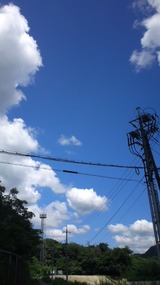 24d55207.jpg