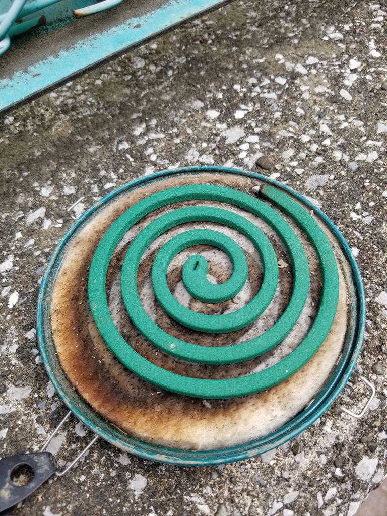20170611_092849