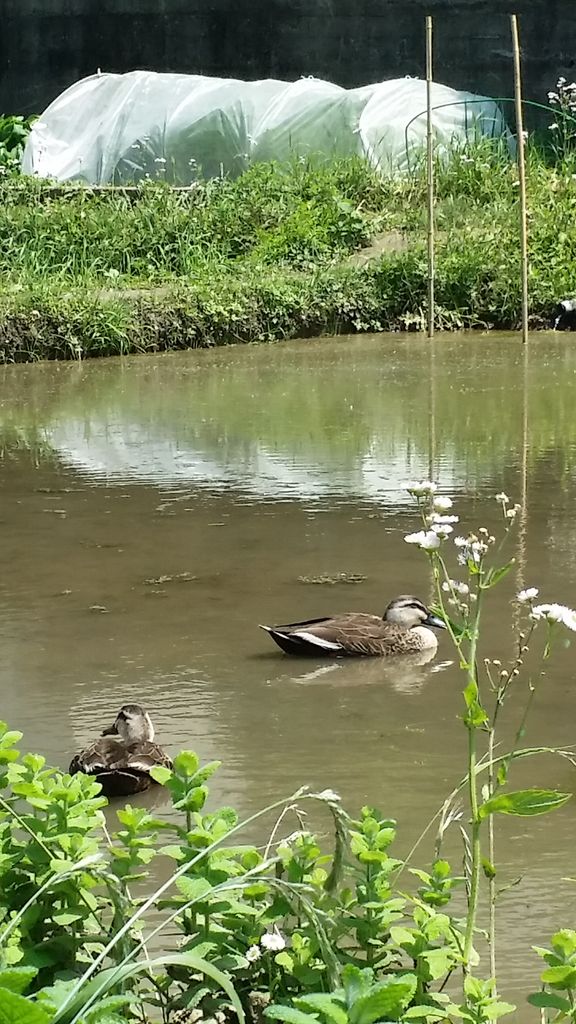 20170520_125040