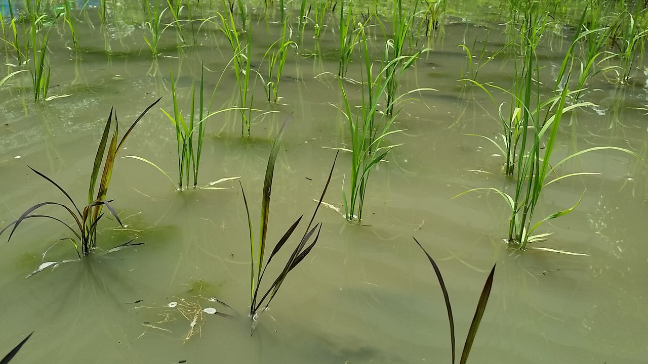20170528_104237