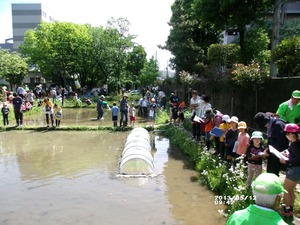 GEDC0090