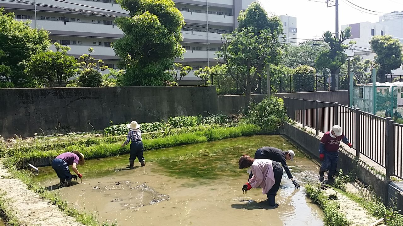20170520_132433