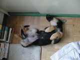 ����