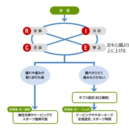 ニチバン 受傷チャート