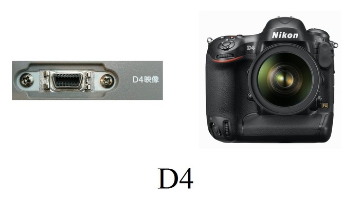 D4