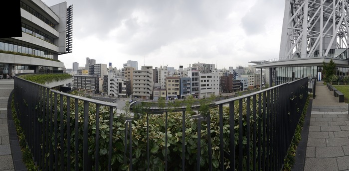 DSC_2072_2081_stitch